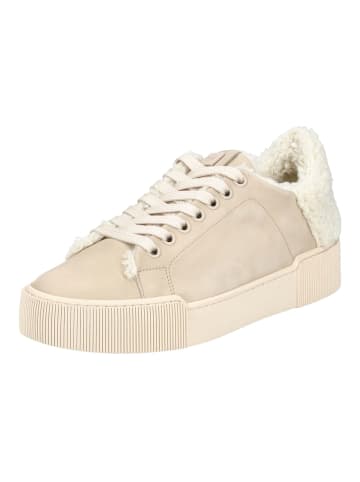 Högl Sneaker in Cashmere