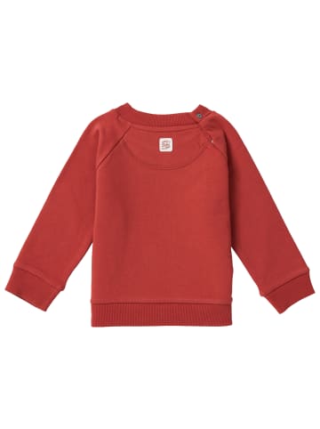 Noppies Pullover Toast in Tandori Spice