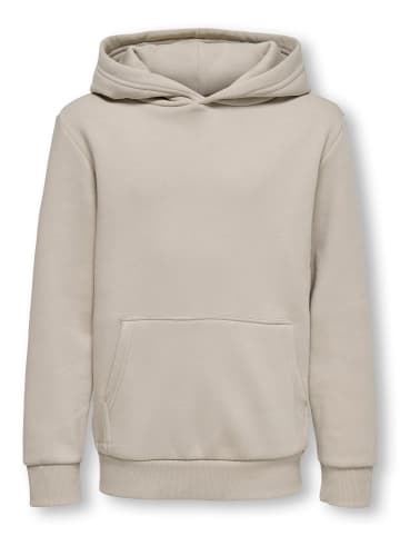 ONLY & SONS Junior Kapuzenpullover in Silver Lining