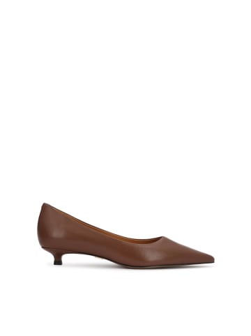 Kazar Pumps in Braun