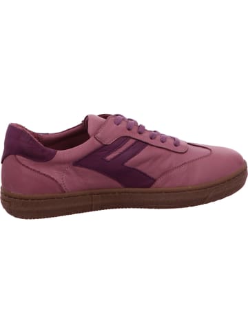 Andrea Conti Sneaker in rose