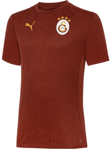 Puma Sportshirt "GSK Training Jersey" in Rot