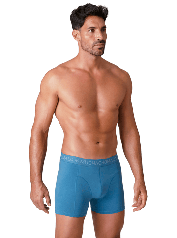Muchachomalo 10er-Set: Boxershort in Mehrfarbig - für Herren