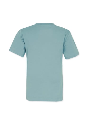 Band of Rascals T-Shirt " Ocean " in chinois-green