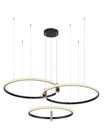 Globo lighting Hängeleuchte "COCO" in black