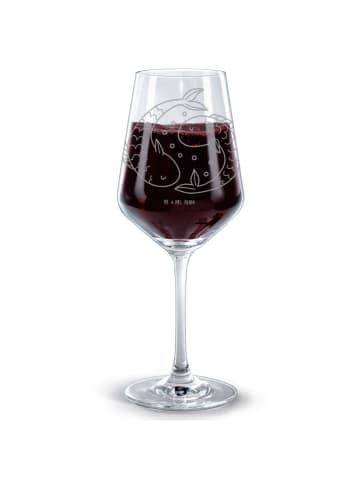 Mr. & Mrs. Panda Rotweinglas mit Gravur Sternzeichen Fische ohne... in Transparent