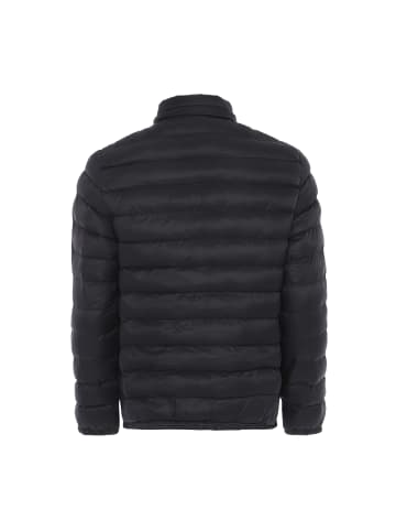 PLUMDALE Herren Steppjacke in Schwarz
