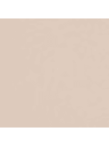 Hessnatur Hessnatur Spacer-BH PURE SENSE LACE aus TENCEL™ Modal in puder