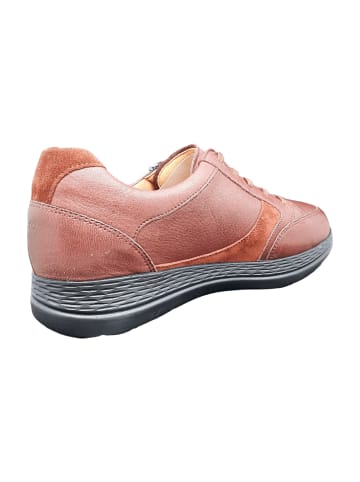 Ganter Komfort Schnürschuhe in Braun