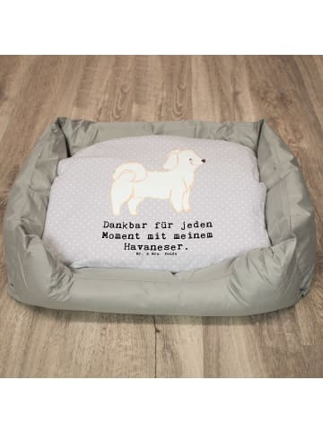 Mr. & Mrs. Panda Hundebett Havaneser Moment mit Spruch in Grau Pastell