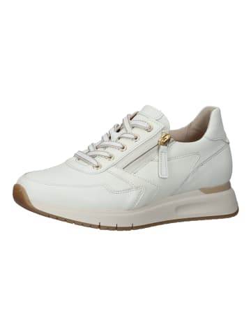 Gabor Sneaker in Latte