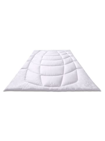 Sanders-Kauffmann Naturhaarbettdecke Cashmere Steppbett - Leicht, 155x220 cm