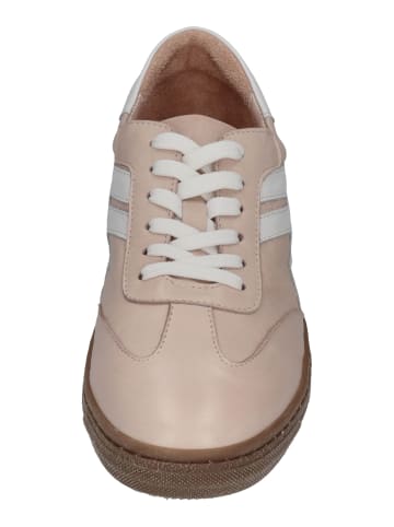 Andrea Conti Sneaker Low FREYA 0067151 in rosa
