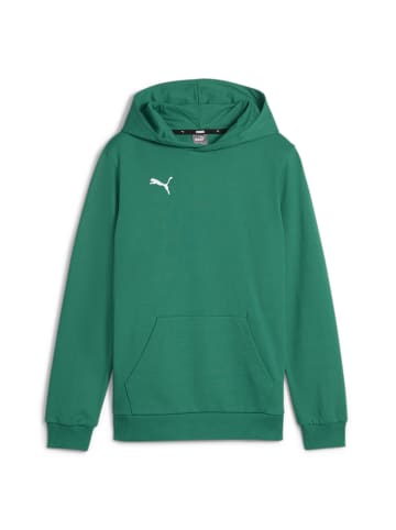 Puma Sweatshirt teamGOAL Casuals Hoody Jr in grün