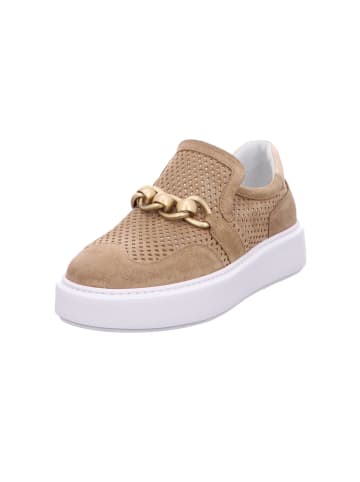 Donna Carolina Schnürschuh in sonstige