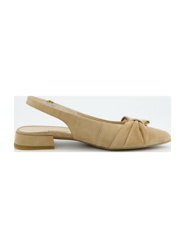Paul Green Ballerinas in Beige
