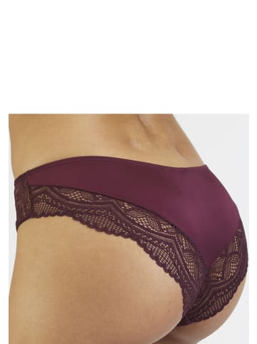 nuance Tanga in aubergine