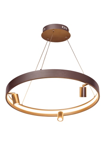 näve LED Pendelleuchte "TRISTAN" in stahl-blank - EEK E