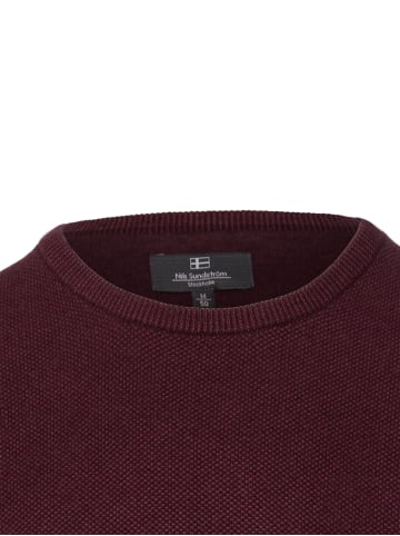 Nils Sundström Strickpullover in aubergine - 0006