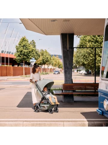 ABC-Design ABC Design Avus 2 Buggy / Sportwagen - Farbe: Pine