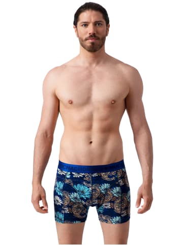 Muchachomalo 3er-Set: Boxershorts in Multicolor