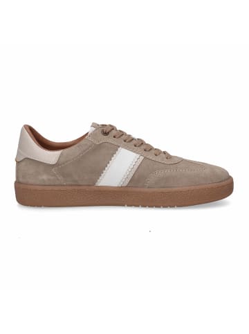 Camel Active Sneaker in braun