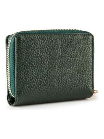 Esquire Alexandria Geldbörse RFID Schutz Leder 10.5 cm grün