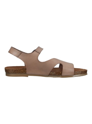 Cosmos Comfort Sandalen in Taupe