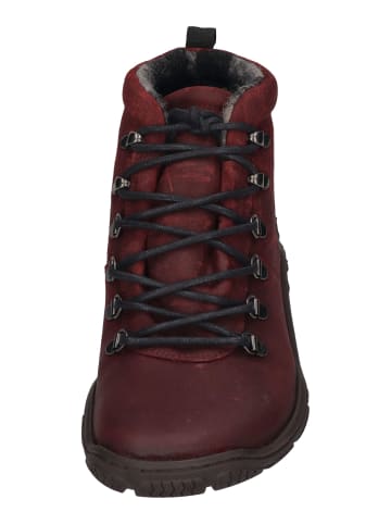 KOEL Stiefeletten ROXA in rot