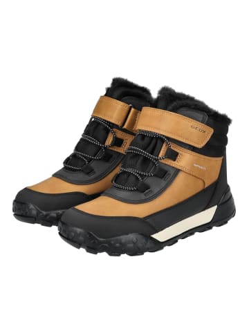Geox Stiefelette in Schwarz/Gelb