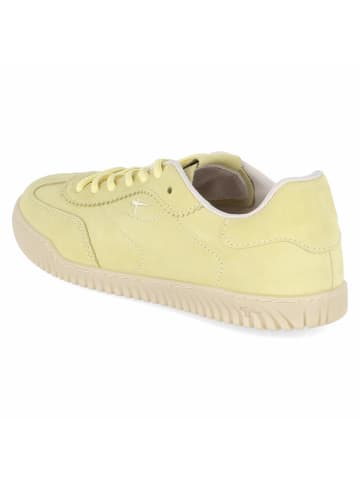 Tamaris Schnürhalbschuh in yellow