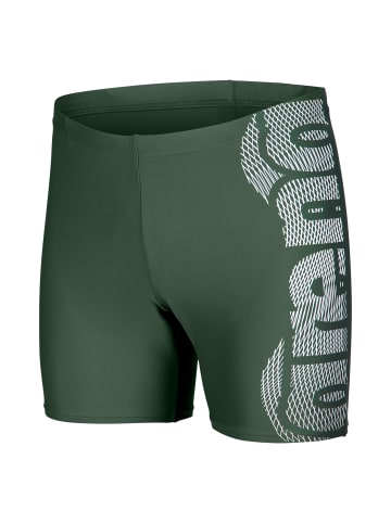 Arena Swim Mid Jammer Graphic in Grün