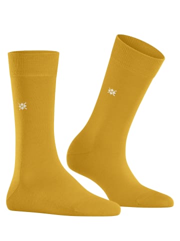 Burlington Socken Bloomsbury in Curry