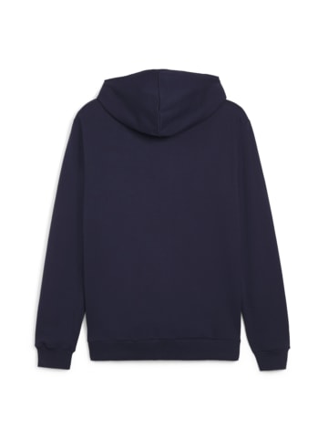 Puma Sweatshirt teamGOAL Casuals Hooded Jacket in grün