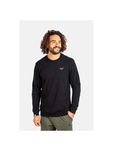 Reell Pullover "Staple Terry Crewneck CO" in Schwarz