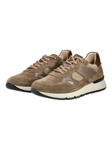 Nero Giardini Sneaker in Fango