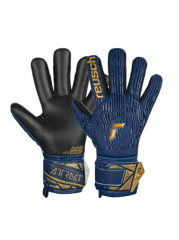 Reusch Torwarthandschuhe Attrakt Freegel Silver in 4411 premium blue/gold/black