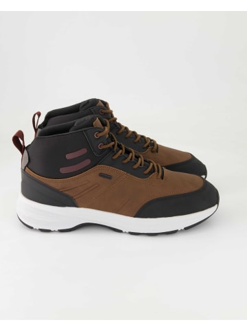Geox Stiefeletten in Braun