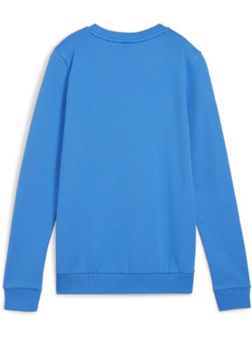 Puma Pullover "TeamGoal CasuaLongsleeve Crew Neck Sweat Wmn" in Blau