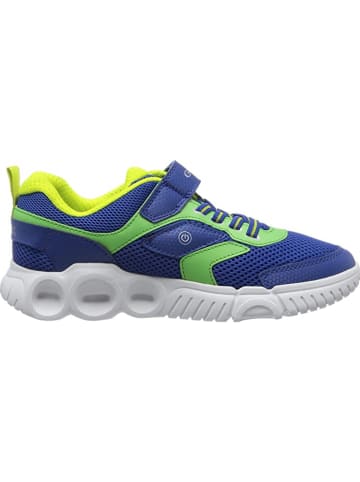 Geox Sneaker für Jungen in blau