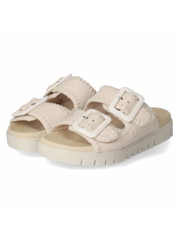 Gabor Pantolette in beige