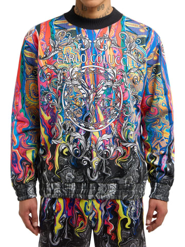 Sweatshirt Alloverprint Rippkragen Langarm in Mehrfarbig