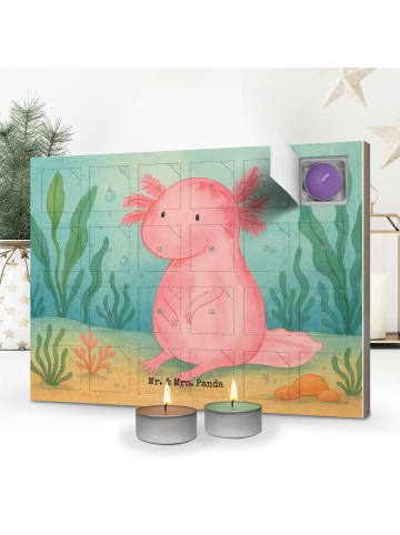 Mr. & Mrs. Panda Duftkerzen Adventskalender Axolotl Niedlich Des... in Weiß