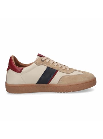 Camel Active Sneaker in beige