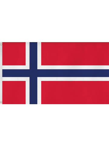 normani Fahne Länderflagge 90 cm x 150 cm in Norwegen