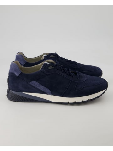 Pius Gabor Sneaker low in Blau