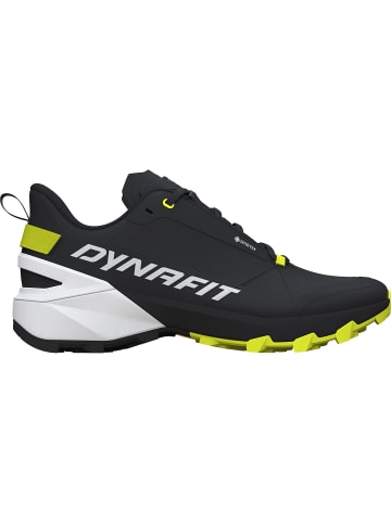 DYNAFIT TRANSALPER 2 GTX in Silber0958