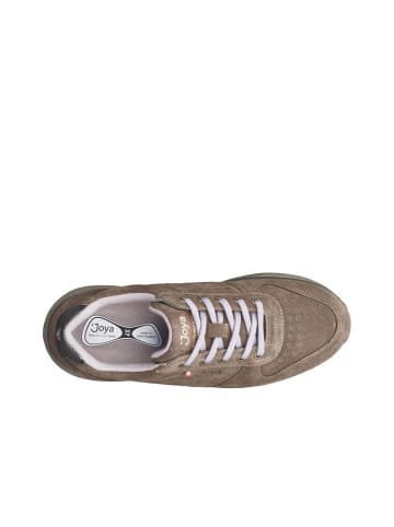Joya Schnürschuh Dynamo Classic W in Brown