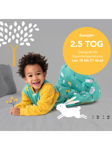 Schlummersack Bio Babyschlafsack, 2.5 TOG in Orange