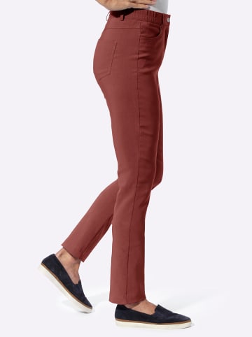 Sieh an! Bengalinhose in rotbraun